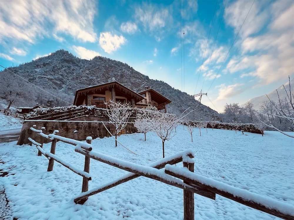 Immobili di prestigio in Valle d'Aosta: scatto invernale di un prato innevato e meli coperti di neve. Al centro, sono parzialmente visibili l'ultimo piano e il tetto di due edifici rustici. Sullo sfondo una montagna innevata e il cielo nuvoloso.